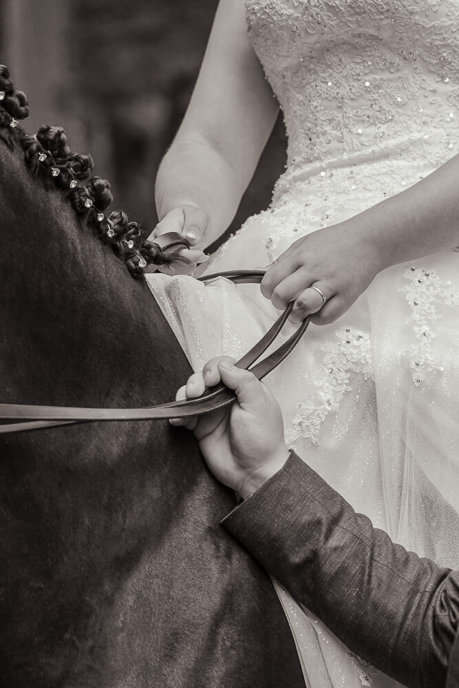 Trauung - Hochzeit